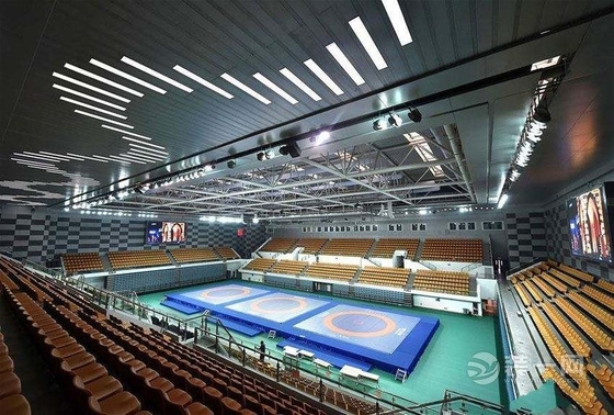 Q345 van het de Structuurontwerp van het Stadionstaal Lange Spanwijdte 50mm 0.8mm Dak voor de Bouw