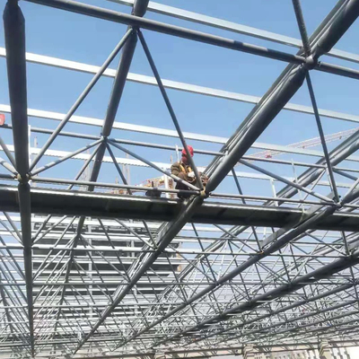 Op maat gemaakte raster schelpenstructuur