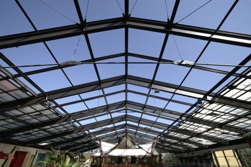 Dakluchten voor botanische tuinen Maximaliseert natuurlijk licht voor bloeiend plantenleven