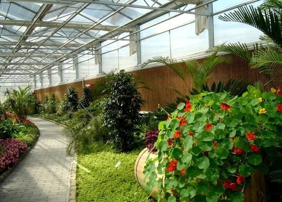 Dakluchten voor botanische tuinen Maximaliseert natuurlijk licht voor bloeiend plantenleven