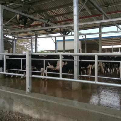 Professionele Geprefabriceerde Stalen Ruimteframe Kippenboerderij Gebouw