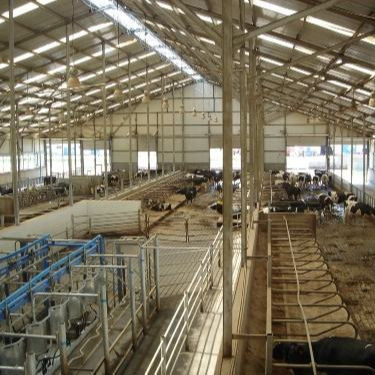 Op Maat Gemaakte Stalen Constructie Pluimveestal met Snelle Installatie