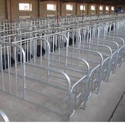 Op Maat Gemaakte Stalen Constructie Pluimveestal met Snelle Installatie