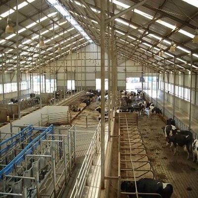 Steel Structure Building for Poultry House 15-21 Days Delivery